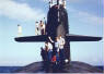 Click the picture to see a larger image.